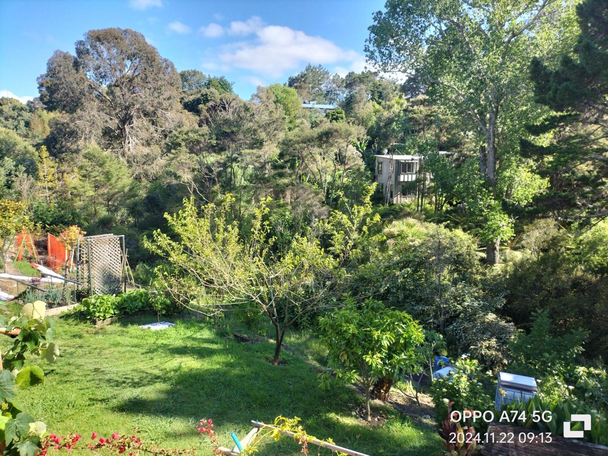 别墅中的一间客房 Auckland Exteriör bild
